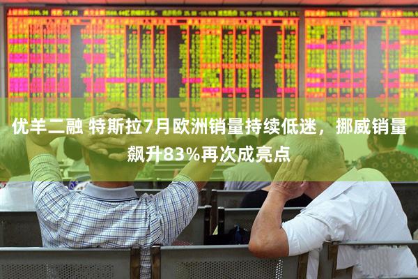 优羊二融 特斯拉7月欧洲销量持续低迷，挪威销量飙升83%再次成亮点