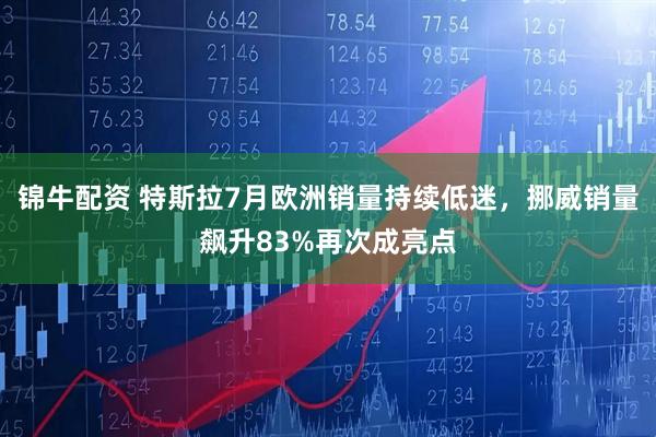 锦牛配资 特斯拉7月欧洲销量持续低迷，挪威销量飙升83%再次成亮点