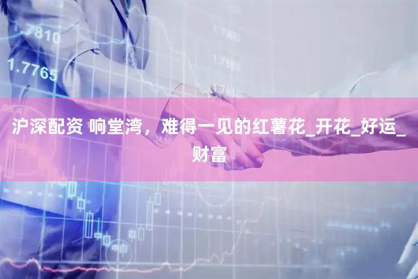 沪深配资 响堂湾，难得一见的红薯花_开花_好运_财富