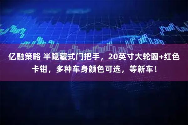 亿融策略 半隐藏式门把手，20英寸大轮圈+红色卡钳，多种车身颜色可选，等新车！
