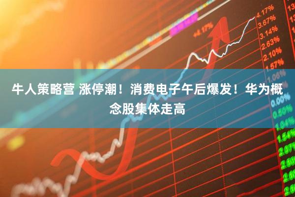 牛人策略营 涨停潮！消费电子午后爆发！华为概念股集体走高