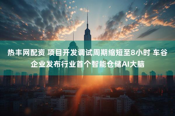 热丰网配资 项目开发调试周期缩短至8小时 车谷企业发布行业首个智能仓储AI大脑