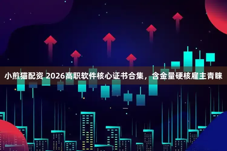 小煎猫配资 2026高职软件核心证书合集，含金量硬核雇主青睐