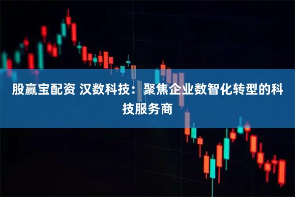 股赢宝配资 汉数科技：聚焦企业数智化转型的科技服务商